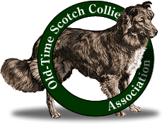 Old-Time Scotch Collie Association